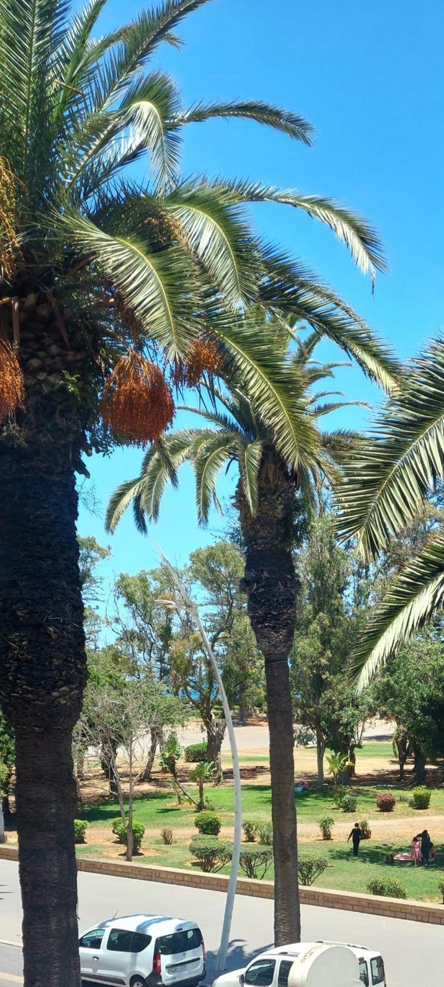 Stay Here, Nice Apartment With Garden View In Center, 1 Min Walk From Beach El Jadida Exterior photo
